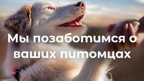 Ветклініка «Мален-Вет»