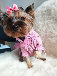 Lapusi grooming studio