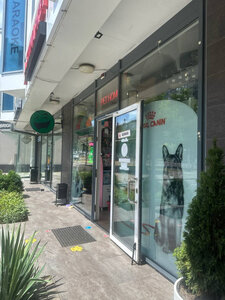 Pet Home