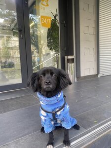 Ветеринарний центр Звірополіс