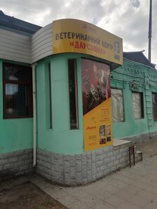Ветеринарний центр «Дарсоліна», Москалівська, 115