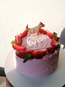 Dolya's Treats: тортики для собак та корисні ласощі