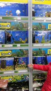 Зоомаркет MasterZoo