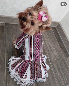 Грумінг салон & Бутік Betty