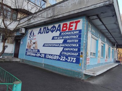 Альфавет