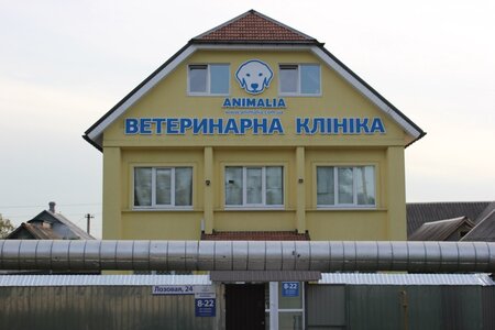 Анімалія