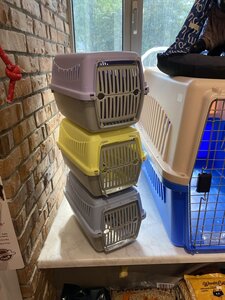 Зоомагазин 22PETS на Старопортофранковской 57