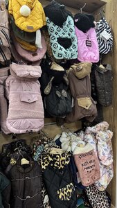 Doggy Duds