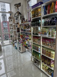 Зоомагазин Gold Pets