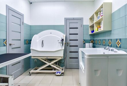 Ветеринарний центр & Spa та грумінг Vet Place