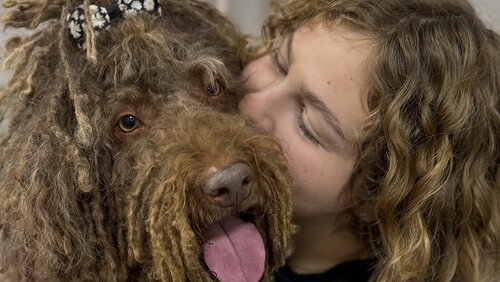 V.O.G DOG SALON
