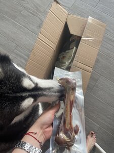 PetPatron