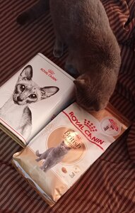 Інтернет магазин «Pet Space» (Пет Спейс)