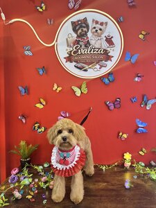 EvaLiza Grooming Salon
