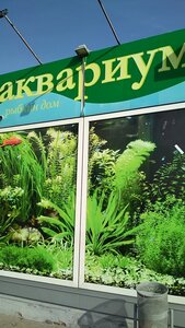 Акваріум