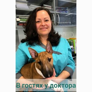 Лессі