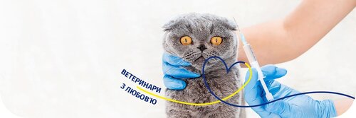 Ветеринарний центр швидкої допомоги