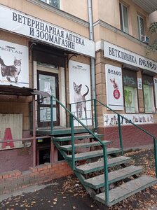 Ветеринарна ВЄЛЄС