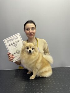 Курсы груминга - обучение стрижке собак, котов и кошек в Днепре