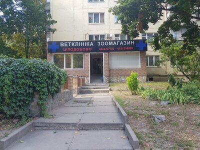 Велика Ведмедиця