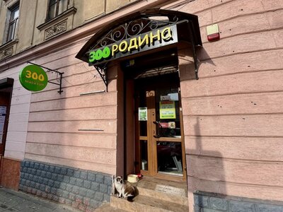 ZOOРодина