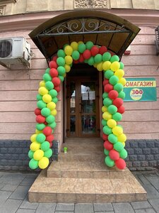 ZOOРодина