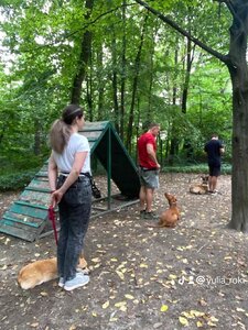 Острівець вільних та вихованих (КЦ «Кронос»)
