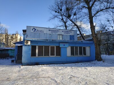 Велика Ведмедиця