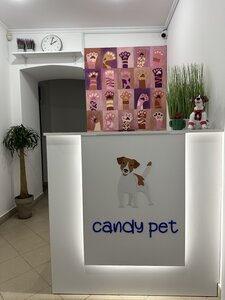 Candy Pet