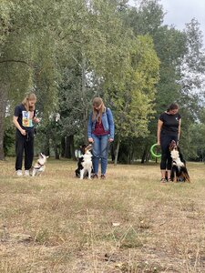 Дресирування собак MaliGuards Club K9