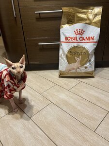 Зоомагазин Royal Canin