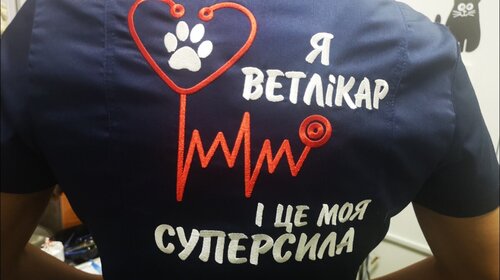 Сімейний улюбленець