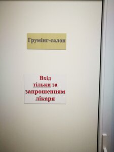 Сімейний улюбленець
