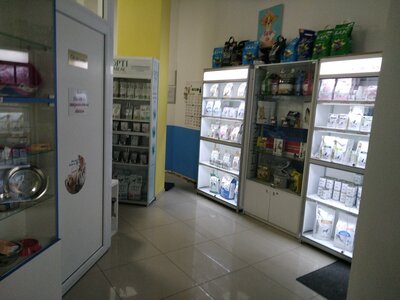 Сімейний улюбленець
