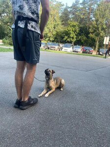 Кінологічний клуб «MyPet»