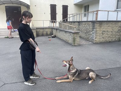 Кінологічний клуб «MyPet»