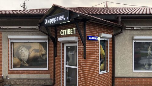 СитиВет Ветеринарная Клиника Одесса