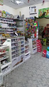 ЗООМАГАЗИН ЧП СИМИНА Л.В.