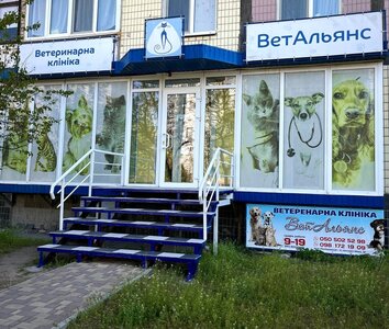 Ветеринарна клініка «ВетАльянс»