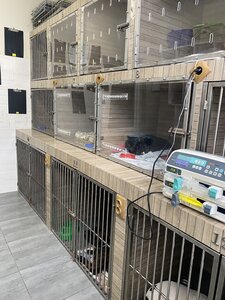 Vet-House