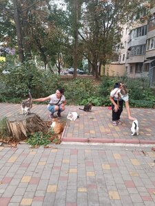 Зоосалон Цуцик