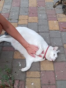 Зоосалон Цуцик