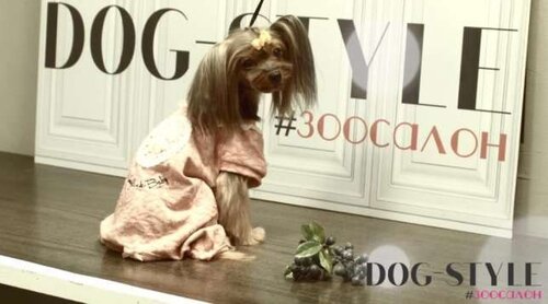 Стрижка собак
