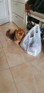 ZOOСАЛОН ГРАНД