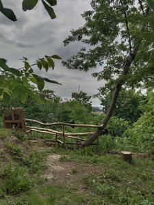 Голубівник (розплідник миколаївських, високолітних та поштових голубів)