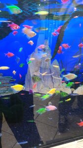 Зоомаркет MasterZoo