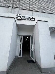 Лапка