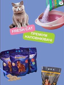 БелліZoo