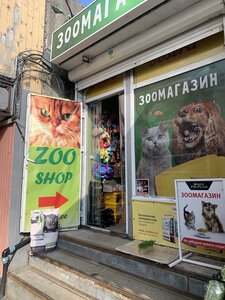 Зоомагазин Zoostore Fat Cat