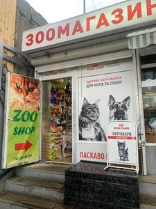 Зоомагазин Zoostore Fat Cat